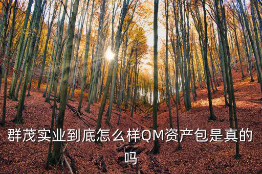 深圳群茂科技有限公司，群茂實(shí)業(yè)到底怎么樣QM資產(chǎn)包是真的嗎