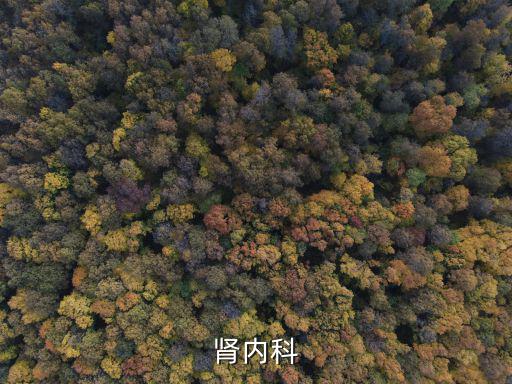 腎內科