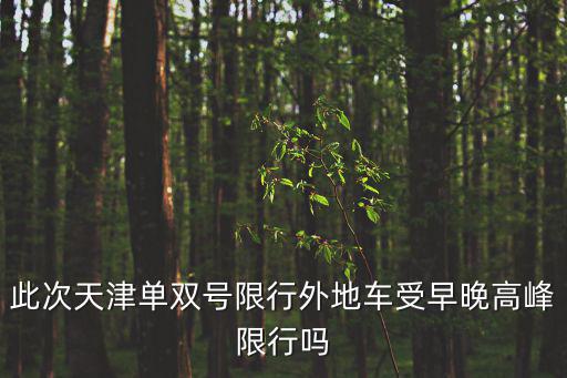 此次天津單雙號限行外地車受早晚高峰限行嗎