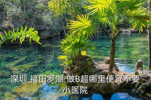 深圳 福田羅湖 做B超哪里便宜不要小醫(yī)院
