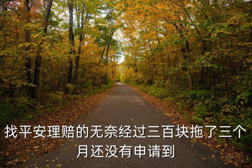 找平安理賠的無(wú)奈經(jīng)過(guò)三百塊拖了三個(gè)月還沒有申請(qǐng)到