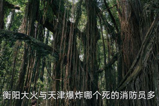 衡陽大火與天津爆炸哪個死的消防員多