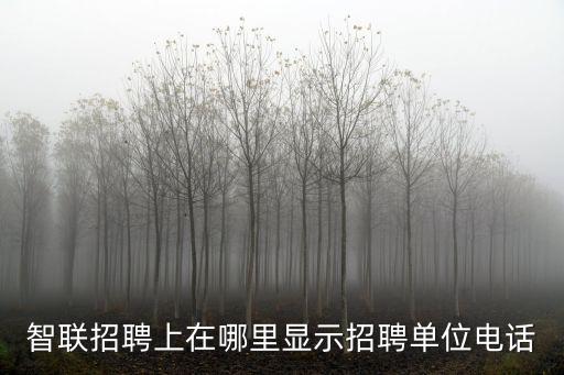 智聯(lián)招聘上在哪里顯示招聘單位電話