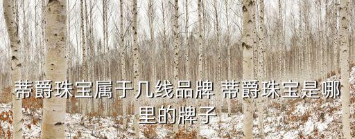 蒂爵珠寶屬于幾線品牌 蒂爵珠寶是哪里的牌子