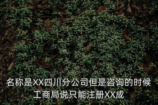 名稱是XX四川分公司但是咨詢的時候工商局說只能注冊XX成