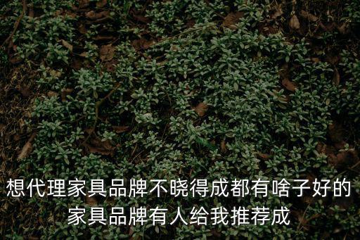 想代理家具品牌不曉得成都有啥子好的家具品牌有人給我推薦成