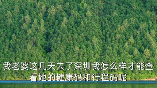 我老婆這幾天去了深圳我怎么樣才能查看她的健康碼和行程碼呢