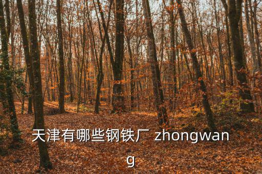 天津市增洋鋼鐵有限公司，天津鋼鐵公司哪家好wwwhtsteelscom