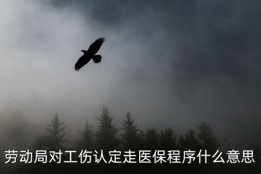 勞動(dòng)局對(duì)工傷認(rèn)定走醫(yī)保程序什么意思