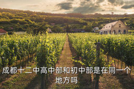 成都十二中高中部和初中部是在同一個地方嗎