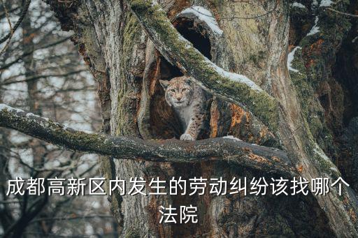 成都高新區內發生的勞動糾紛該找哪個法院
