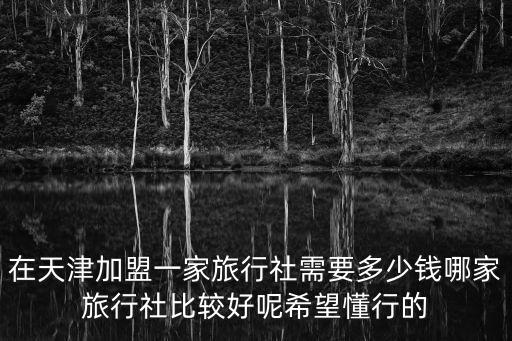 在天津加盟一家旅行社需要多少錢哪家旅行社比較好呢希望懂行的