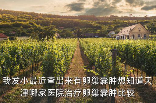 我發小最近查出來有卵巢囊腫想知道天津哪家醫院治療卵巢囊腫比較