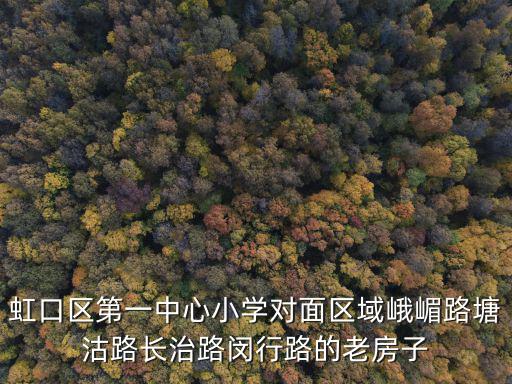 天津市閔行路改造，閔行區銀都路是否會擴建馬路