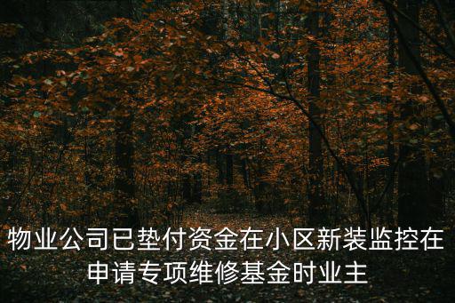 成都市社區公服資金管理辦法，社區資產管理辦法