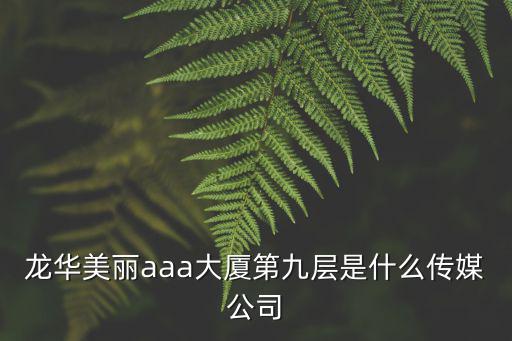 龍華美麗aaa大廈第九層是什么傳媒公司