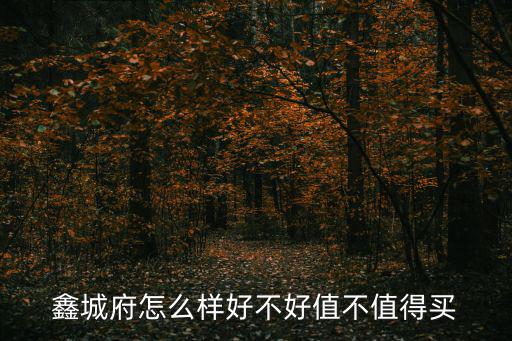 鑫城府怎么樣好不好值不值得買