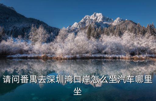 請問番禺去深圳灣口岸怎么坐汽車哪里坐