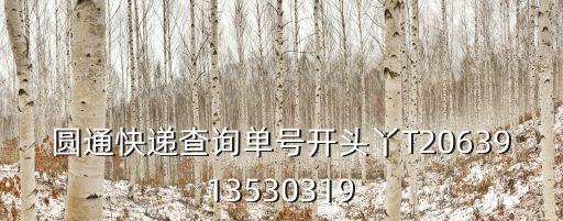 圓通快遞查詢單號開頭丫T2063913530319