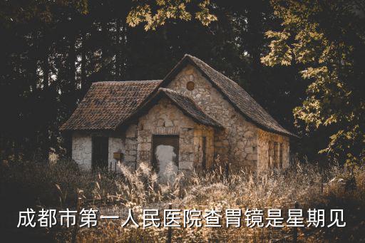 成都市第一人民醫(yī)院查胃鏡是星期見