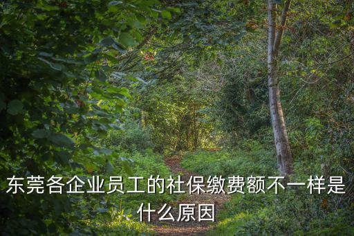 東莞各企業(yè)員工的社保繳費額不一樣是什么原因