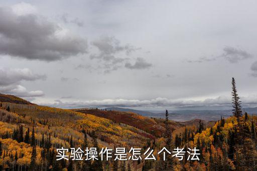 實(shí)驗(yàn)操作是怎么個(gè)考法