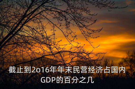 截止到2o16年年末民營經濟占國內GDP的百分之幾