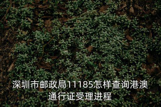 深圳市郵政局11185怎樣查詢港澳通行證受理進(jìn)程
