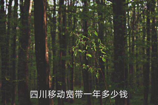 四川移動寬帶一年多少錢