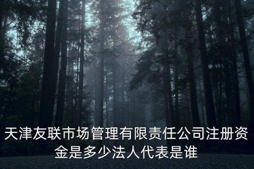 天津友聯市場管理有限責任公司注冊資金是多少法人代表是誰