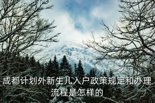成都計劃外新生兒入戶政策規定和辦理流程是怎樣的