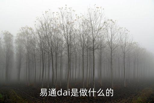 易通dai是做什么的