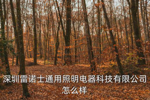 深圳雷諾士通用照明電器科技有限公司怎么樣