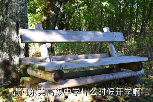 請問東莞高級中學什么時候開學啊