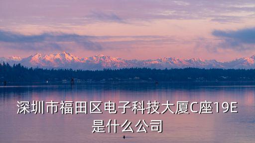 深圳市福田區電子科技大廈C座19E是什么公司