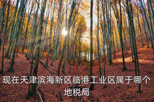 現在天津濱海新區臨港工業區屬于哪個地稅局