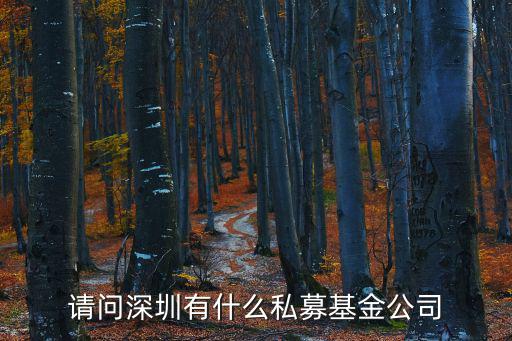 請問深圳有什么私募基金公司