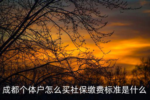 成都個(gè)體戶怎么買社保繳費(fèi)標(biāo)準(zhǔn)是什么