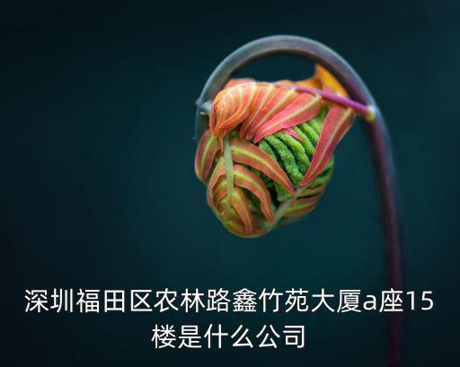 深圳福田區農林路鑫竹苑大廈a座15樓是什么公司