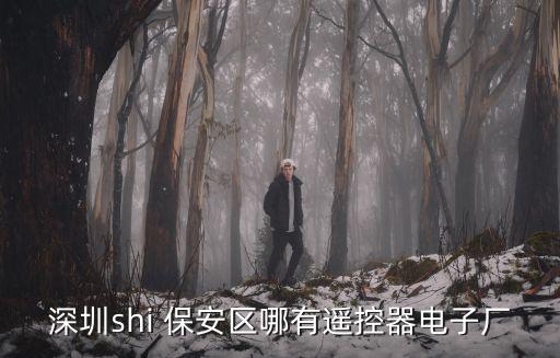 深圳shi 保安區(qū)哪有遙控器電子廠