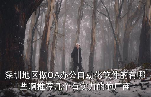深圳oa辦公系統 軟件，深圳OA系統