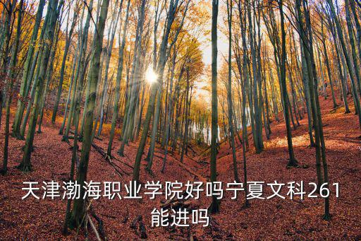 天津渤海職業學院好嗎寧夏文科261能進嗎