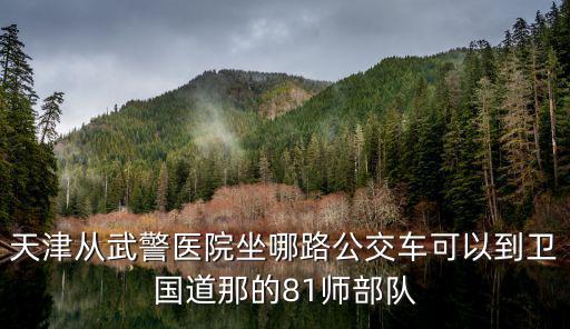 天津市武警81，天津從武警醫院坐哪路公交車可以到衛國道那的81師部隊