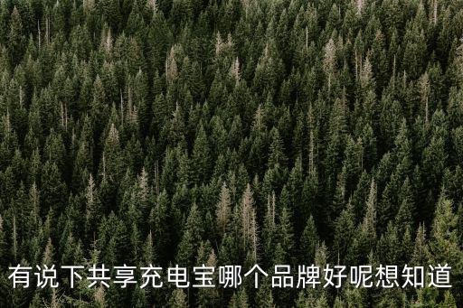 有說下共享充電寶哪個品牌好呢想知道