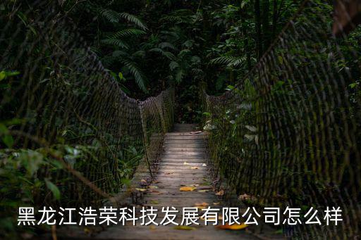 黑龍江浩榮科技發展有限公司怎么樣