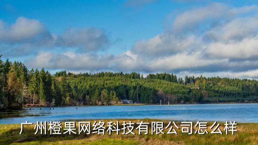 廣州橙果網(wǎng)絡(luò)科技有限公司怎么樣