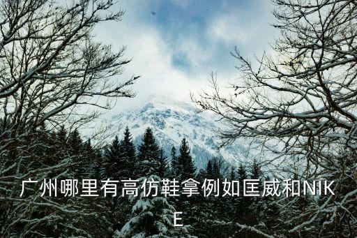 廣州哪里有高仿鞋拿例如匡威和NIKE