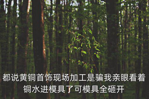 成都市金尚德模具，成都哪里又做玻璃鋼路沿石模具的