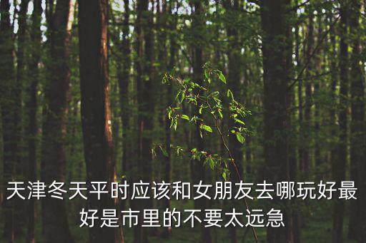 天津冬天平時應該和女朋友去哪玩好最好是市里的不要太遠急