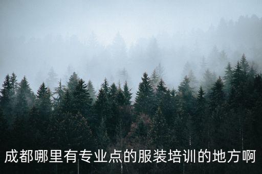 成都哪里有專業點的服裝培訓的地方啊